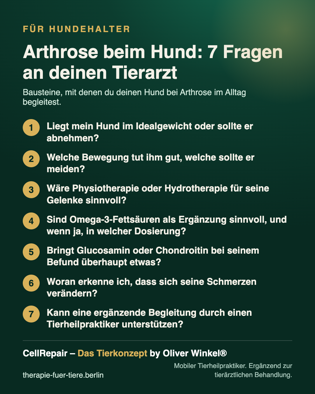 Übersicht: Arthrose beim Hund: 7 Fragen an deinen Tierarzt