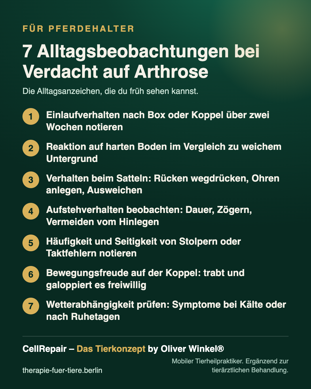 Übersicht: Alltagsanzeichen für Arthrose beim Pferd