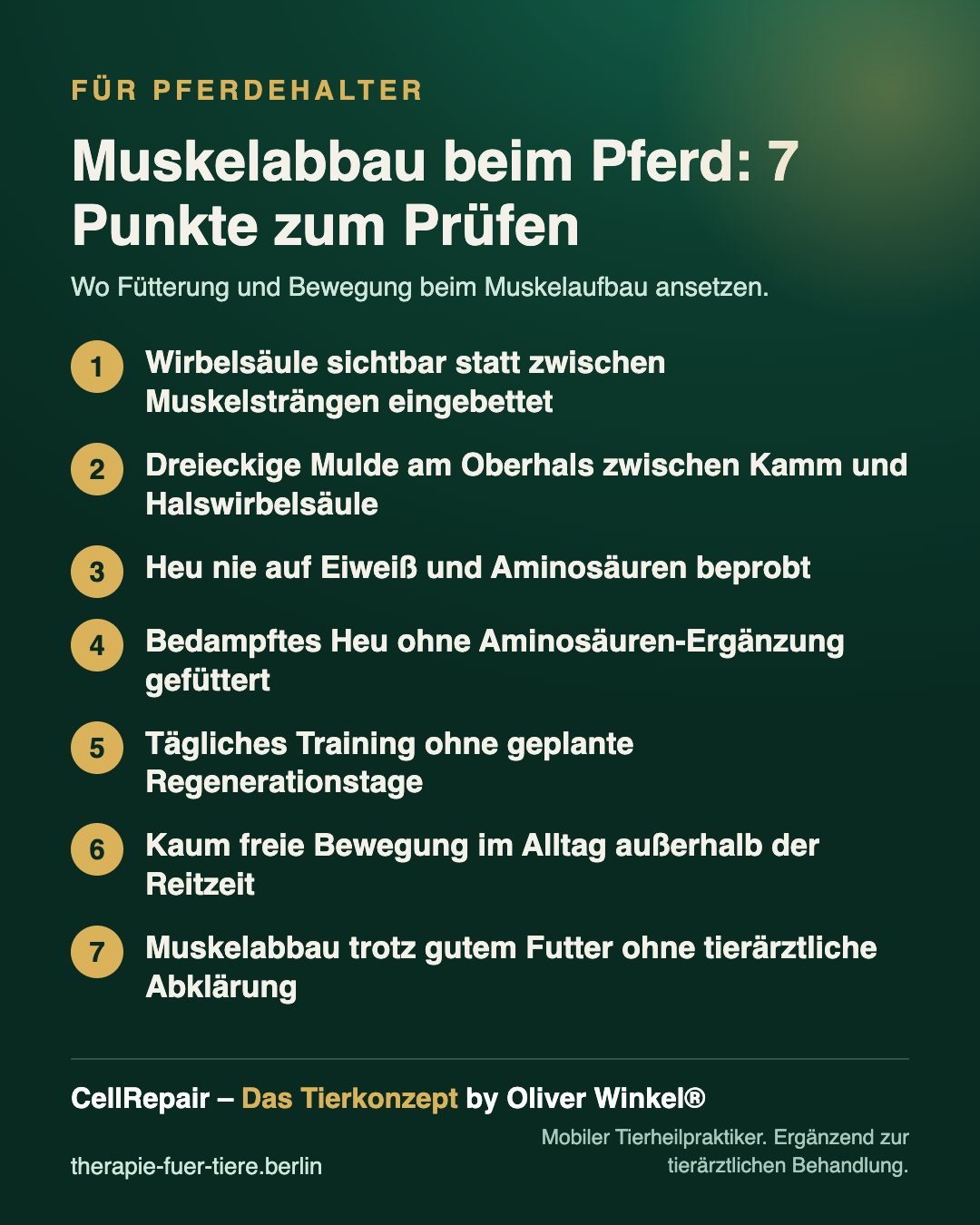 Übersicht: Fütterung und Bewegung für den Muskelaufbau beim Pferd