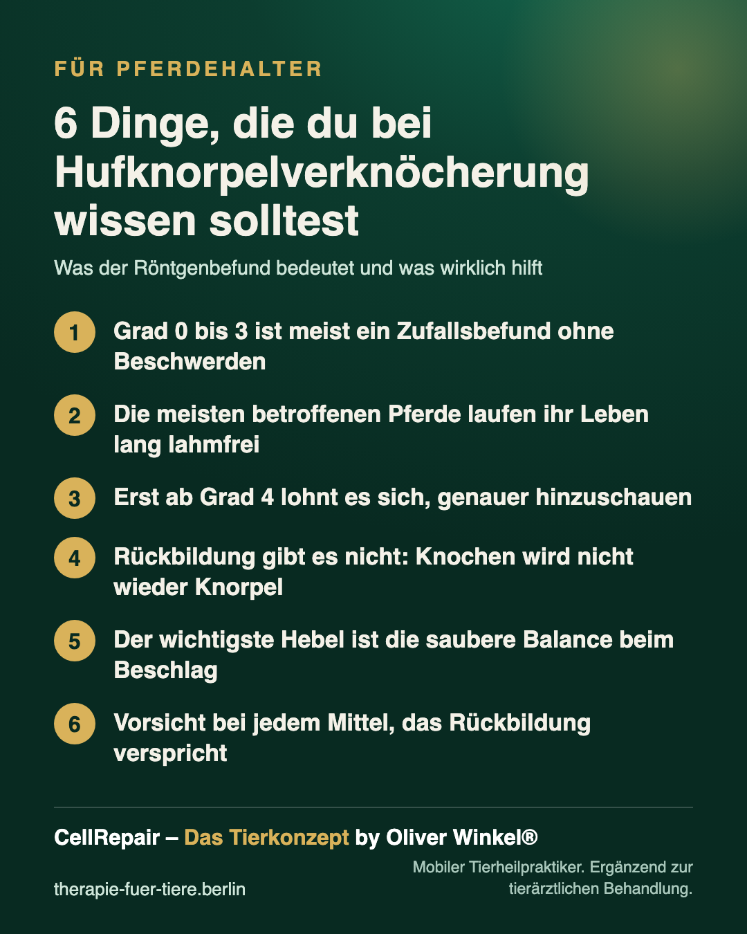 Oliver Winkel bei der Behandlung am Pferdebein im Stall