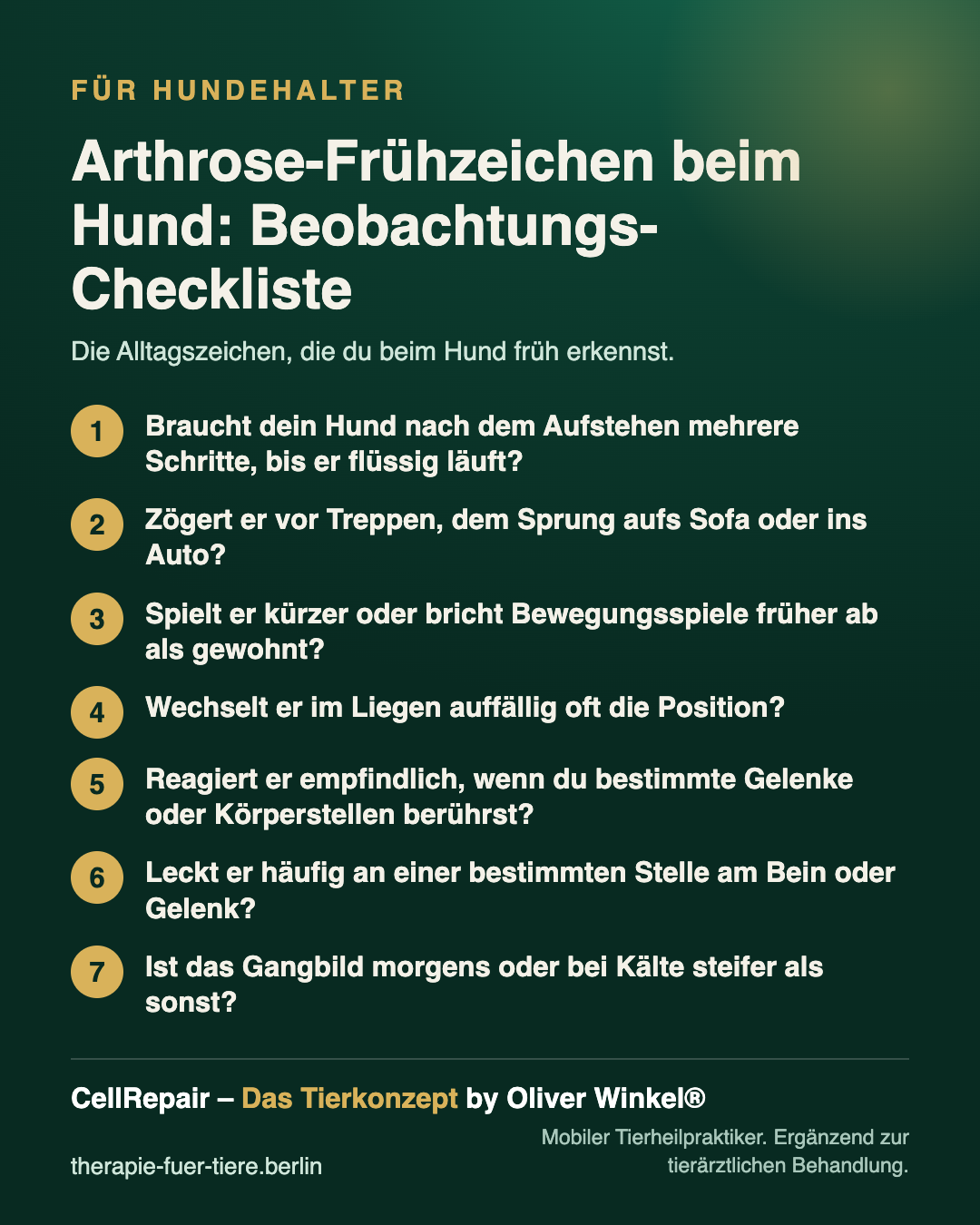 Übersicht: Alltagsanzeichen für Arthrose beim Hund