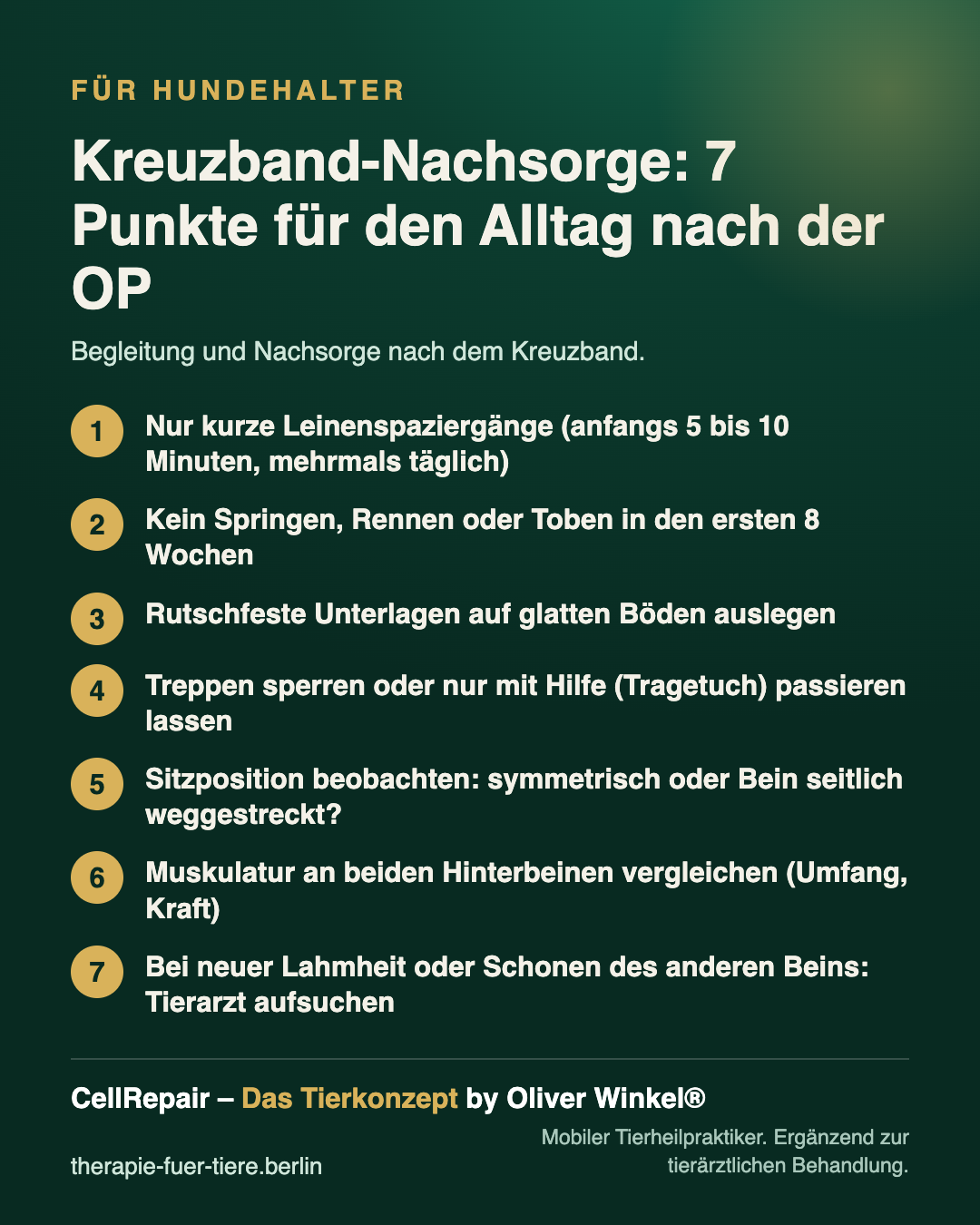 Übersicht: Nachsorge beim Kreuzband beim Hund