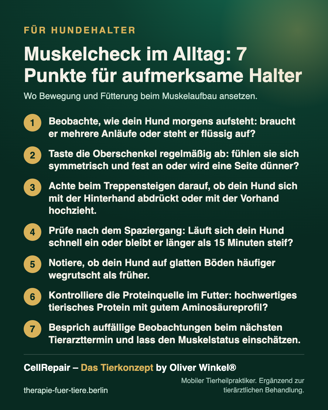 Übersicht: Muskelaufbau beim Hund