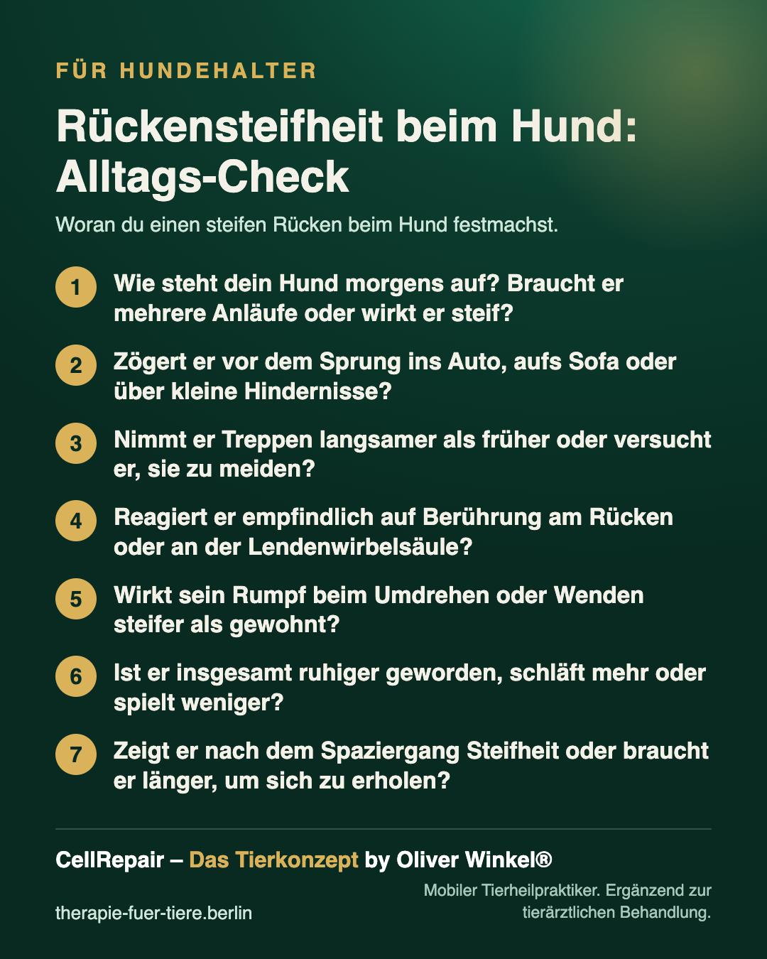 Übersicht: Beobachtungspunkte bei steifem Rücken beim Hund