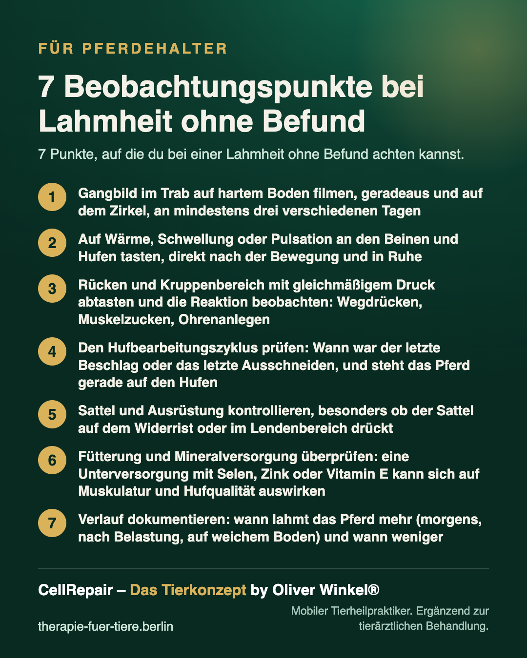 Oliver Winkel bei der Behandlung am Pferdebein im Stall