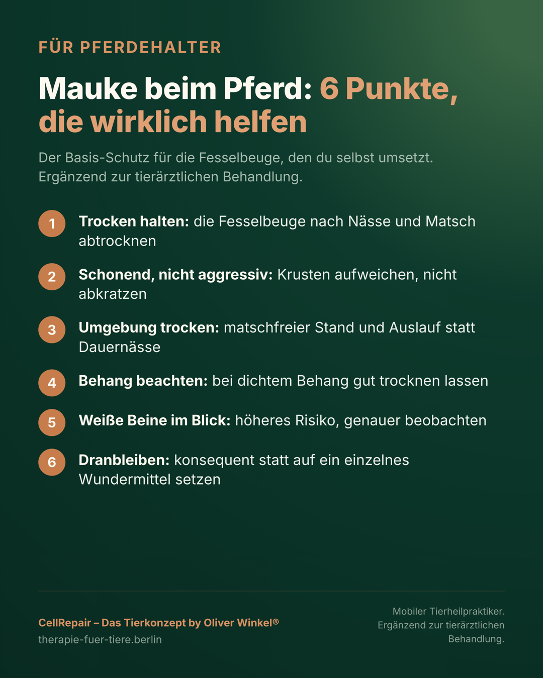 Übersicht: sechs Punkte, die bei Mauke in der Fesselbeuge des Pferdes wirklich helfen