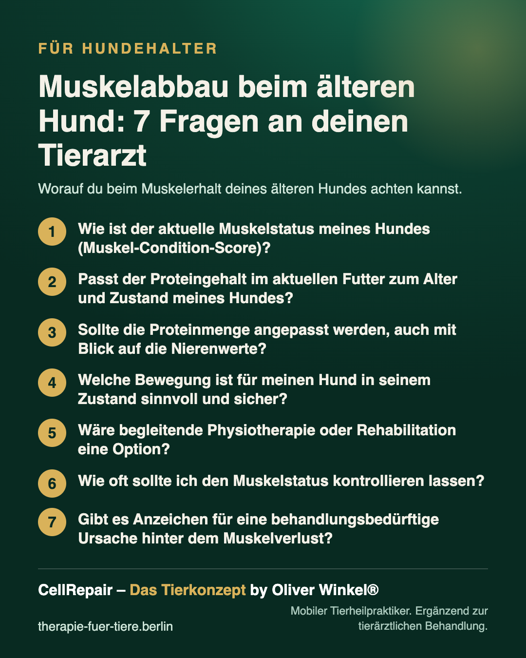 Übersicht: Muskelabbau beim älteren Hund: 7 Fragen an deinen Tierarzt