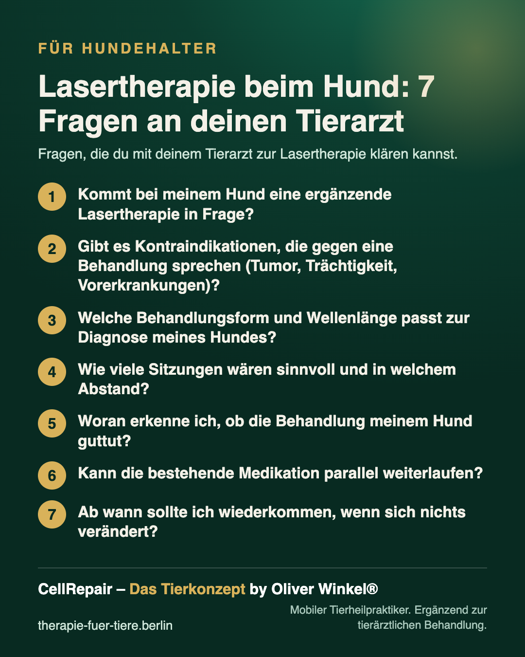 Übersicht: Lasertherapie beim Hund: 7 Fragen an deinen Tierarzt