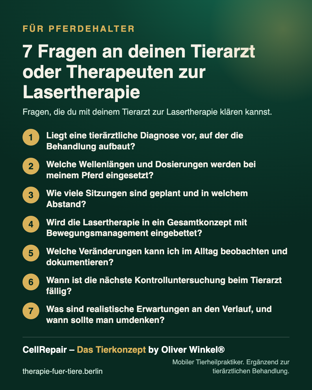Übersicht: 7 Fragen an deinen Tierarzt oder Therapeuten zur Lasertherapie