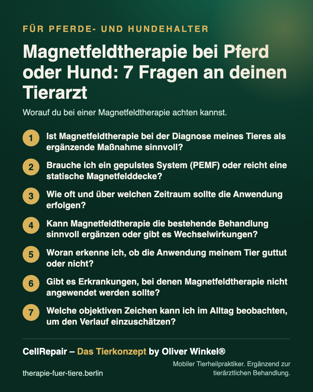 Übersicht: Magnetfeldtherapie bei Pferd oder Hund: 7 Fragen an deinen Tierarzt