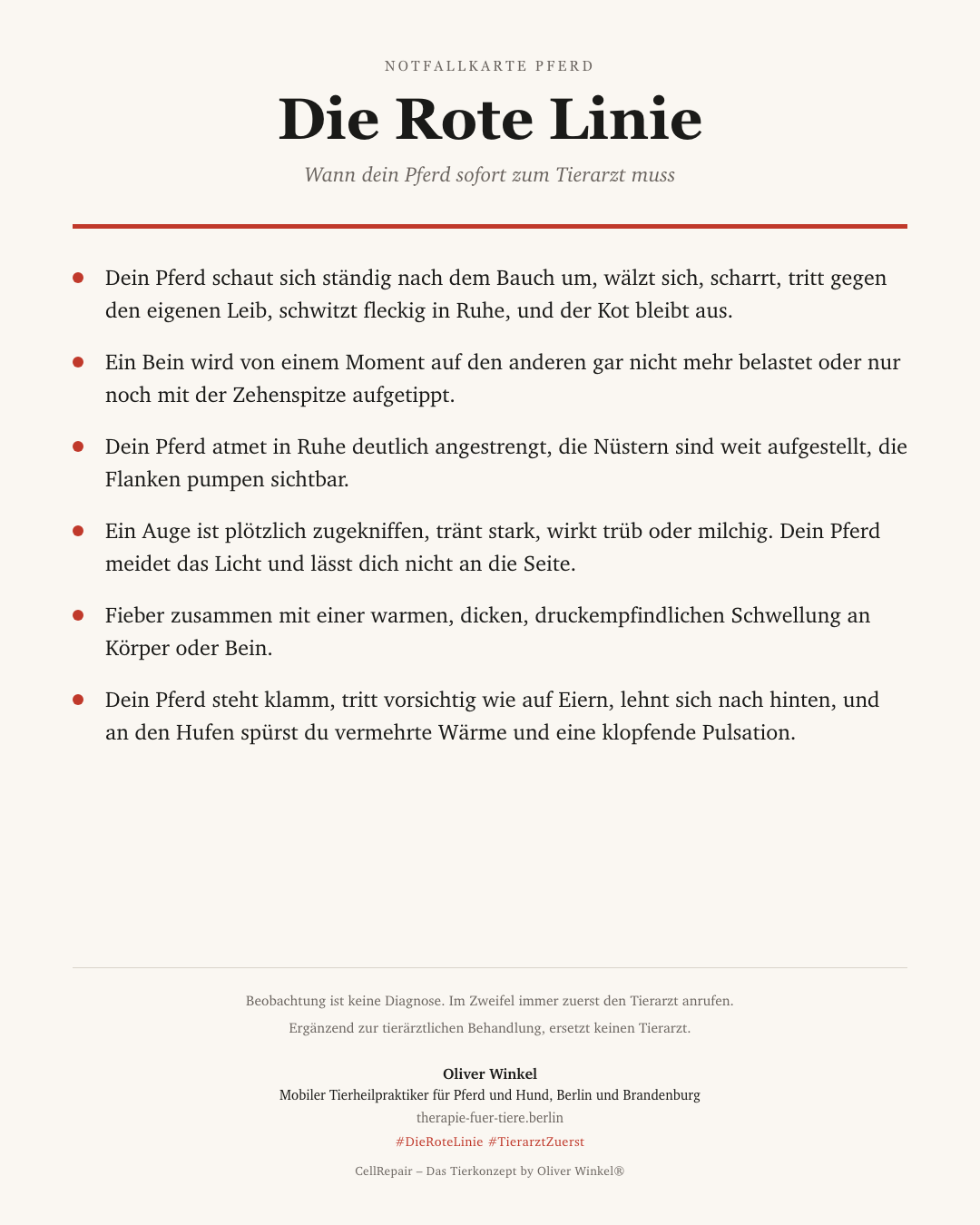 Rote-Linie-Notfallkarte für das Pferd zum Ausdrucken