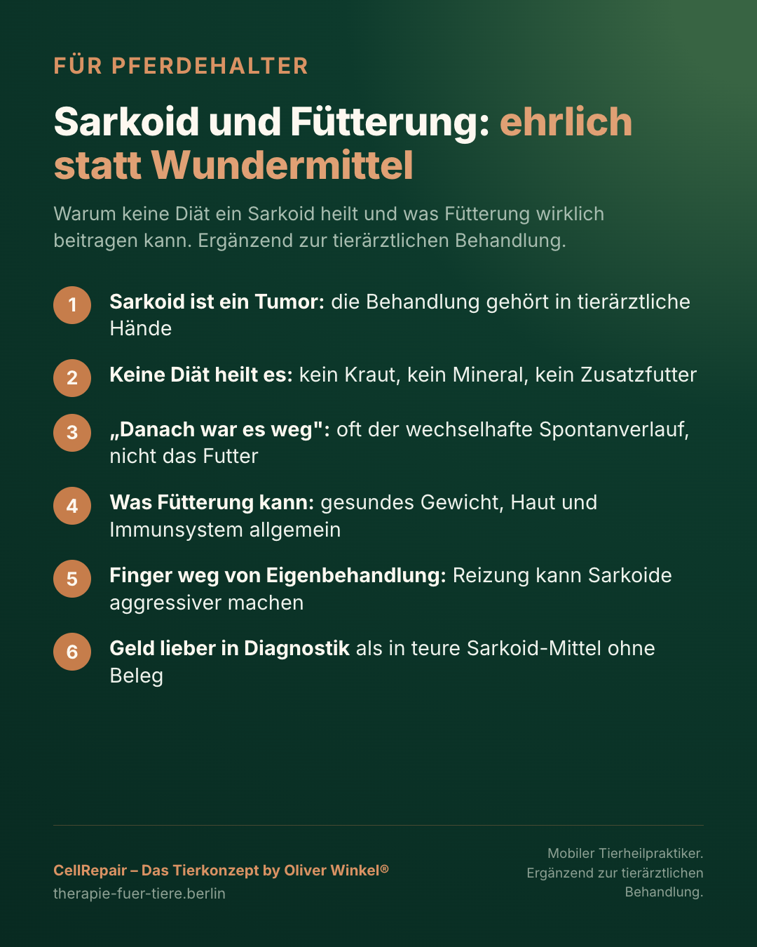 Übersicht: ehrliche Einordnung, was Fütterung bei einem Sarkoid beim Pferd leisten kann und was nicht