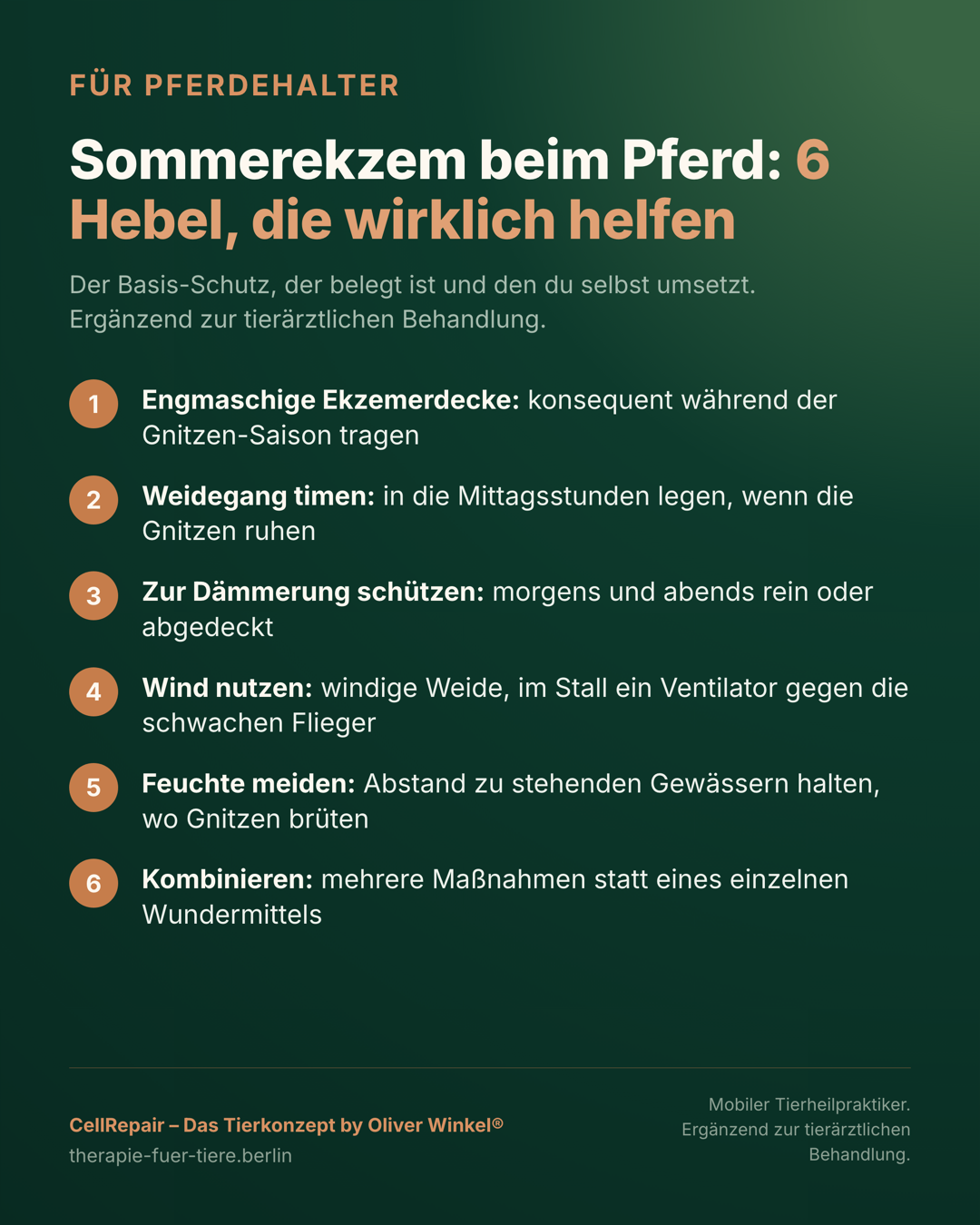 Übersicht: sechs belegte Maßnahmen, die beim Sommerekzem des Pferdes wirklich helfen