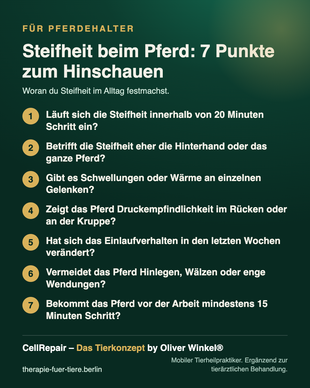 Übersicht: Beobachtungspunkte bei einem steifen Pferd